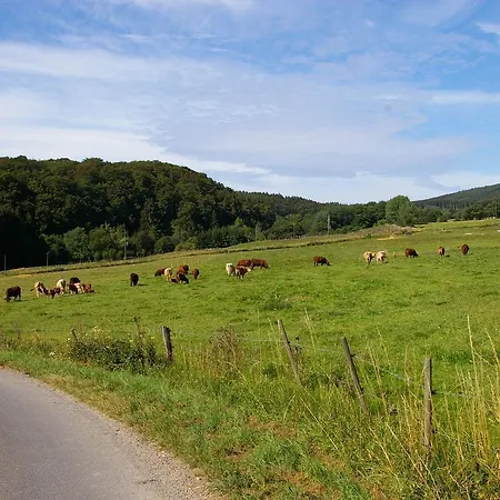 Lovely Holiday In With Terrace Dom wakacyjny